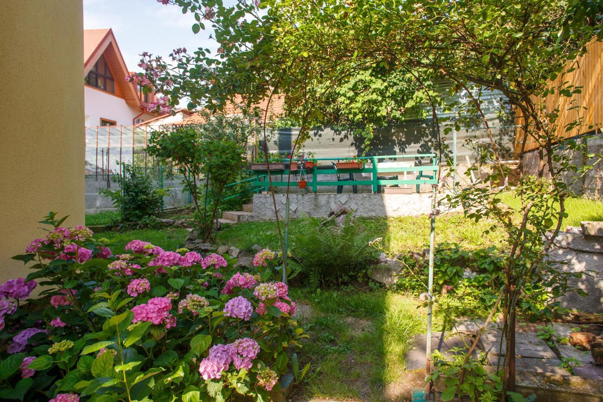 Barok Apartments Braşov Exteriör bild